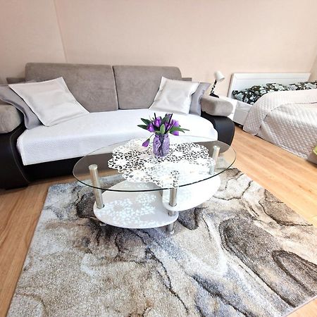 Aparthouse Apartamenty Centrum سوسنوفييتس المظهر الخارجي الصورة