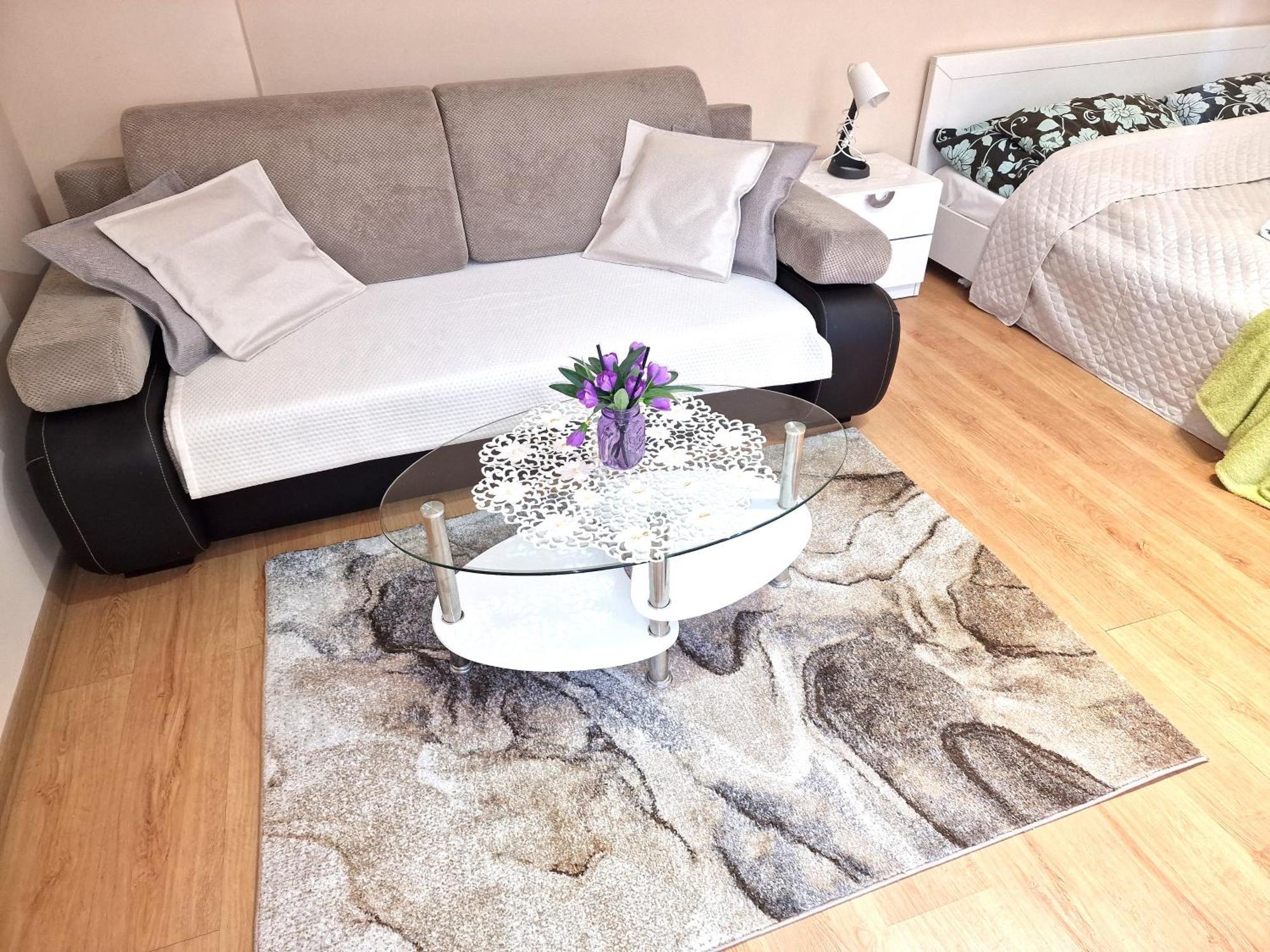 Aparthouse Apartamenty Centrum سوسنوفييتس المظهر الخارجي الصورة